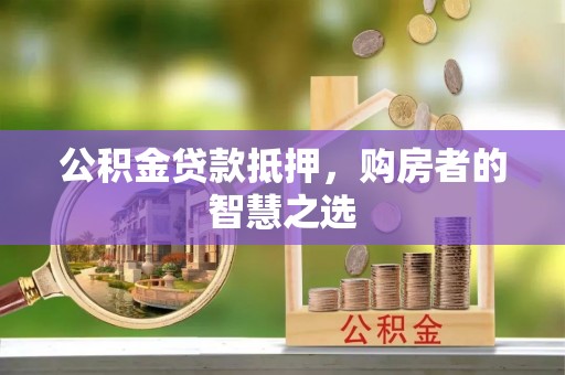 比如公积金贷款抵押，购房者的智慧之选