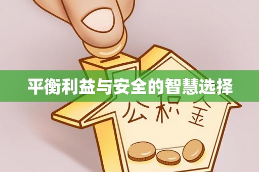 比如平衡利益与安全的智慧选择