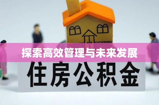 比如探索高效管理与未来发展