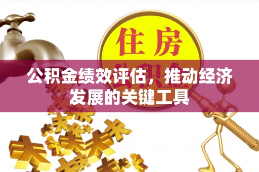 比如公积金绩效评估，推动经济发展的关键工具