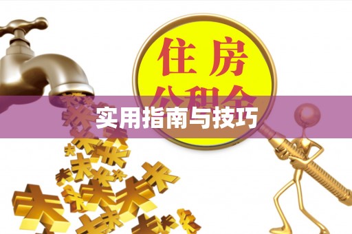 比如实用指南与技巧
