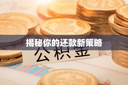 比如揭秘你的还款新策略