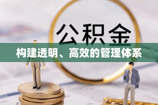 比如构建透明、高效的管理体系