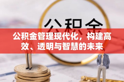 比如公积金管理现代化，构建高效、透明与智慧的未来