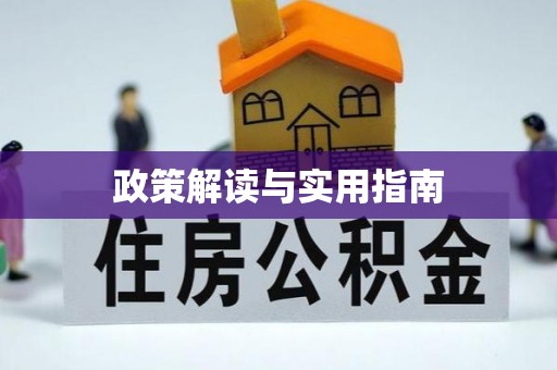 比如政策解读与实用指南
