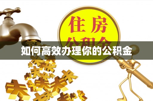 比如如何高效办理你的公积金
