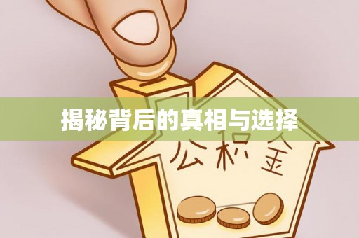 比如揭秘背后的真相与选择