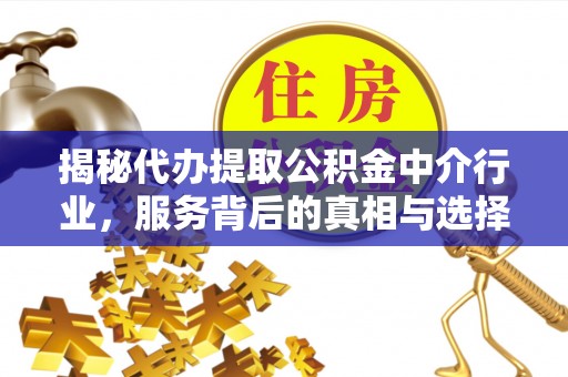 比如揭秘代办提取公积金中介行业，服务背后的真相与选择指南