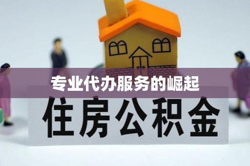 比如专业代办服务的崛起