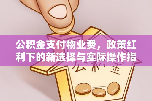 比如公积金支付物业费，政策红利下的新选择与实际操作指南