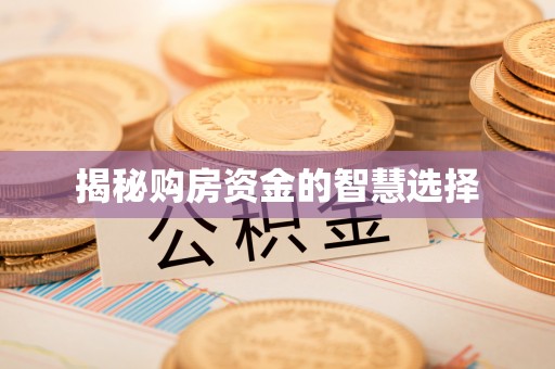 比如揭秘购房资金的智慧选择