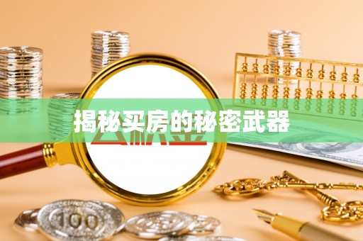 比如揭秘买房的秘密武器