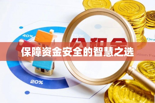 比如保障资金安全的智慧之选