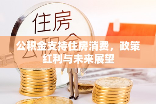 比如公积金支持住房消费，政策红利与未来展望