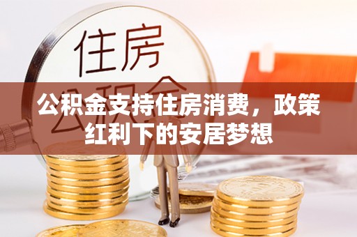 比如公积金支持住房消费，政策红利下的安居梦想