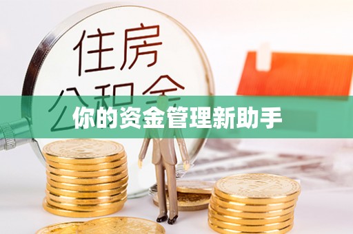 比如你的资金管理新助手