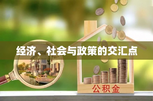 比如经济、社会与政策的交汇点