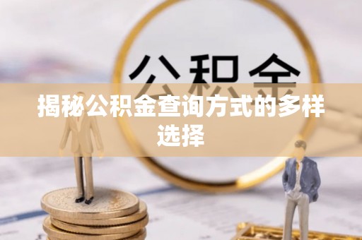 比如揭秘公积金查询方式的多样选择