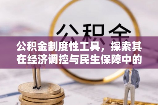 比如公积金制度性工具，探索其在经济调控与民生保障中的重要作用