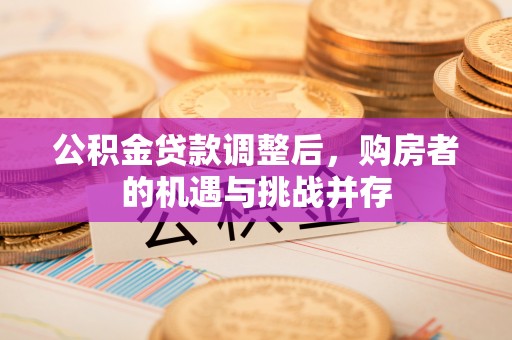 比如公积金贷款调整后，购房者的机遇与挑战并存
