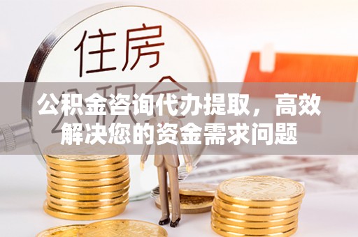 比如公积金咨询代办提取，高效解决您的资金需求问题