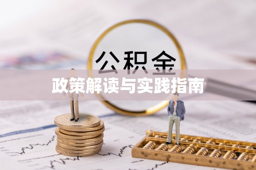 比如政策解读与实践指南