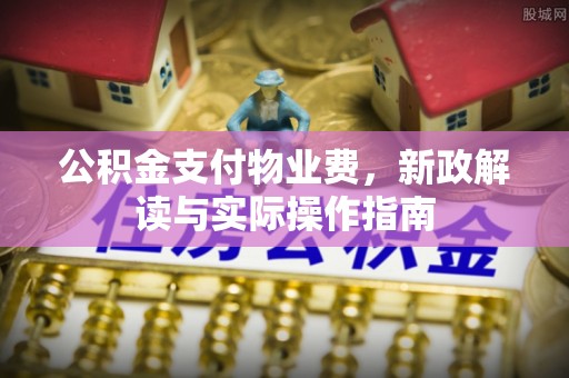 比如公积金支付物业费，新政解读与实际操作指南