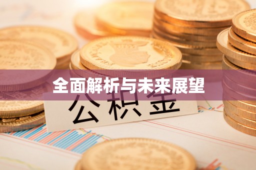 比如全面解析与未来展望