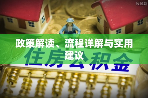 比如政策解读、流程详解与实用建议