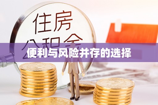 比如便利与风险并存的选择