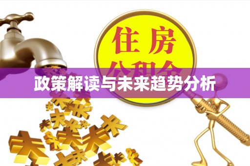 比如政策解读与未来趋势分析